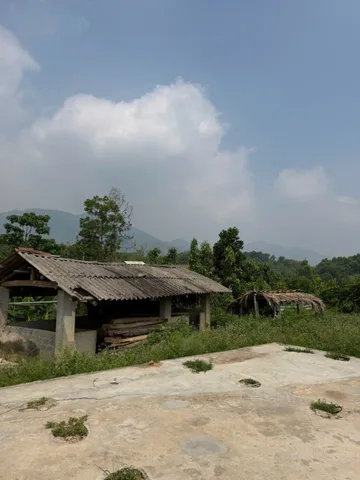 Bất động sản tại Phú Thọ - ảnh 1