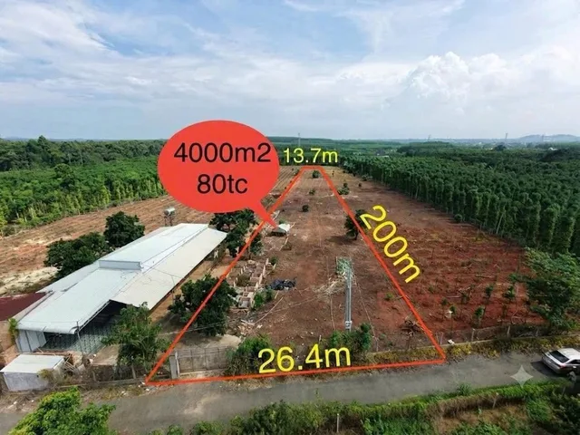 Bất động sản tại Bà Rịa - Vũng Tàu - ảnh 1