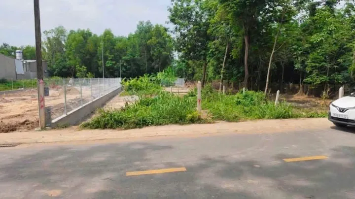 Bất động sản tại Bình Dương - ảnh 1