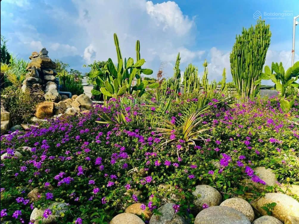 Bất động sản tại Đắk Nông - ảnh 1