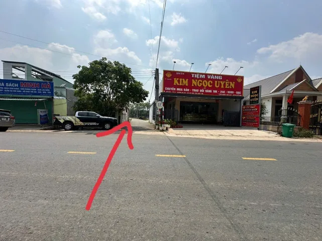Bất động sản tại Bình Dương - ảnh 1