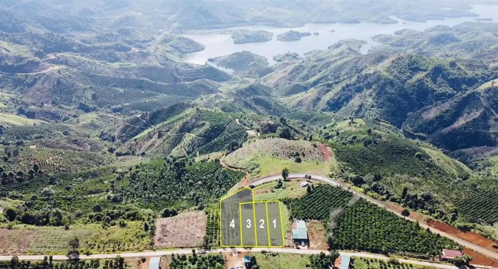 Bất động sản tại Đắk Nông - ảnh 1