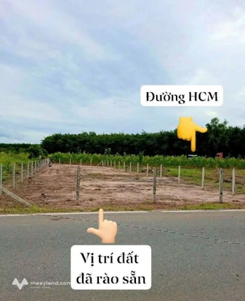 Bất động sản tại Bình Dương - ảnh 1