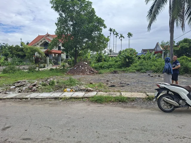 Bất động sản tại Hải Phòng - ảnh 1