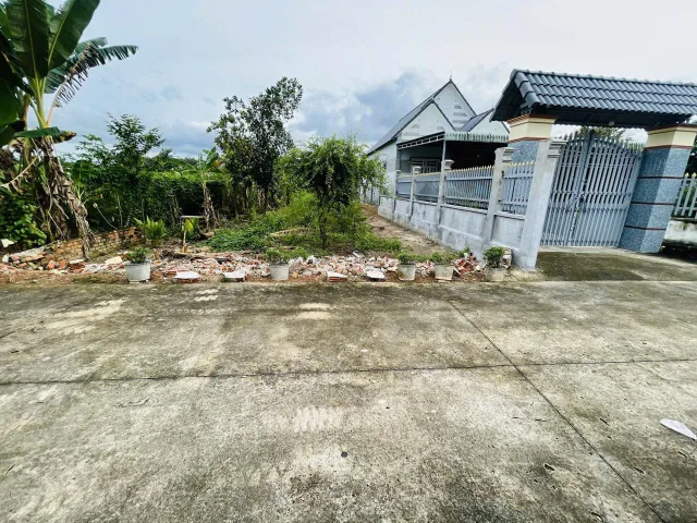 Bất động sản tại Bình Dương - ảnh 1