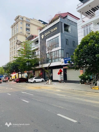 Bất động sản tại Vĩnh Phúc - ảnh 1