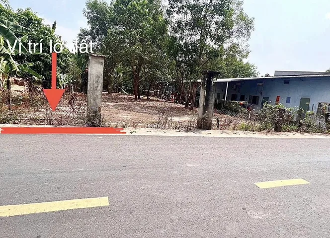Bất động sản tại Bình Dương - ảnh 1