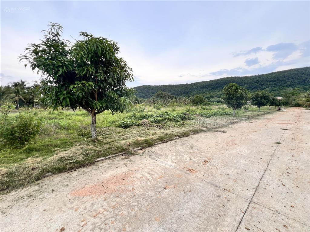 Bất động sản tại Kiên Giang - ảnh 1