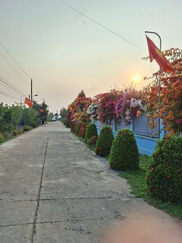 Bất động sản tại Bình Dương - ảnh 1