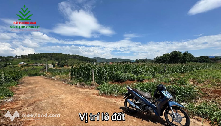 Bất động sản tại Lâm Đồng - ảnh 1