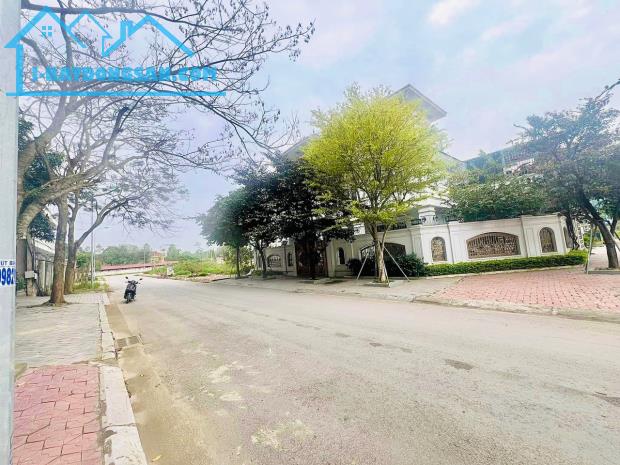 Bất động sản tại Bạc Liêu - ảnh 1