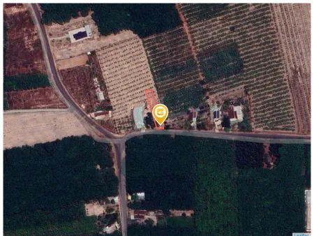 Bất động sản tại Bình Dương - ảnh 1