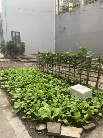 Bất động sản tại Quảng Ninh - ảnh 1