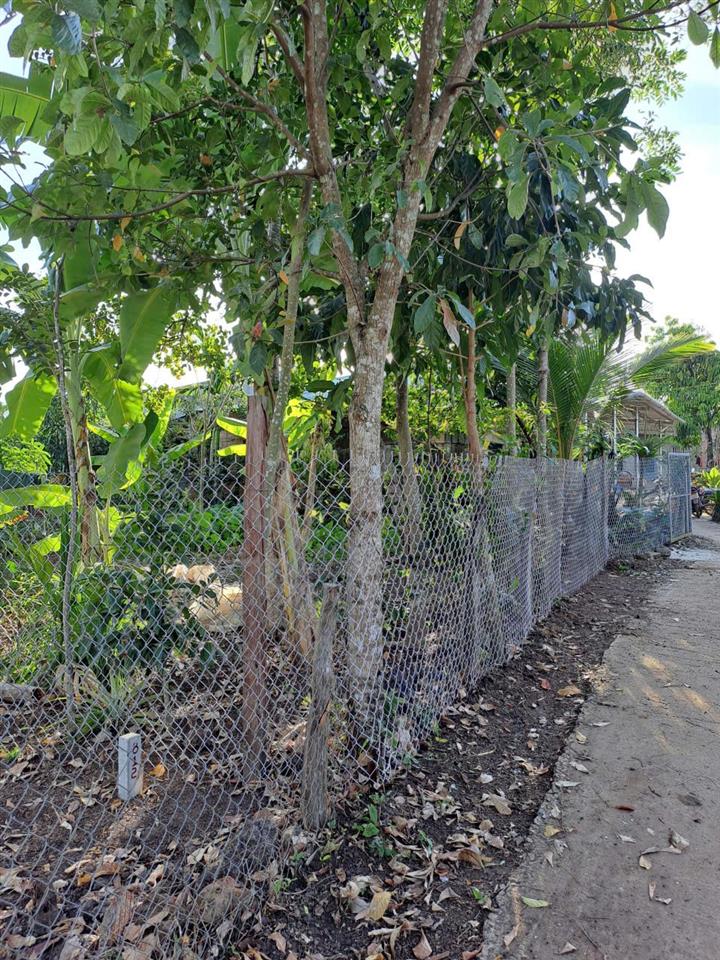 Bất động sản tại Bình Phước - ảnh 1