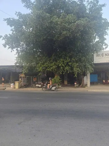Bất động sản tại Tây Ninh - ảnh 1