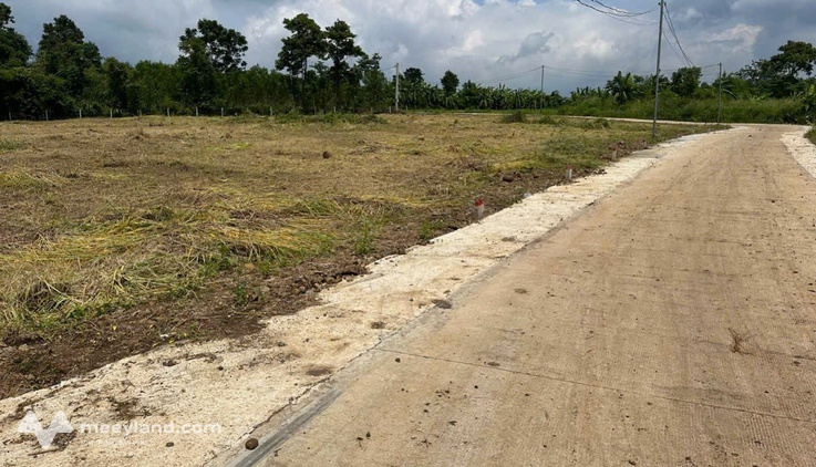 Bất động sản tại Tuyên Quang - ảnh 1