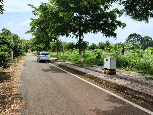 Bất động sản tại Đồng Nai - ảnh 1