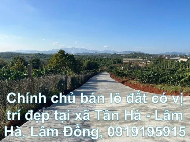 Bất động sản tại Lâm Đồng - ảnh 1