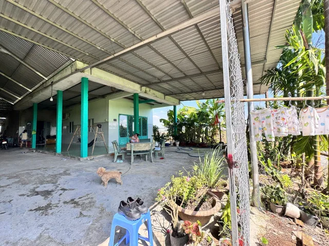 Bất động sản tại Tây Ninh - ảnh 1
