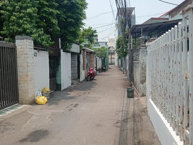 Bất động sản tại Đà Nẵng - ảnh 1