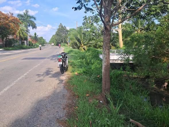 Bất động sản tại Vĩnh Long - ảnh 1