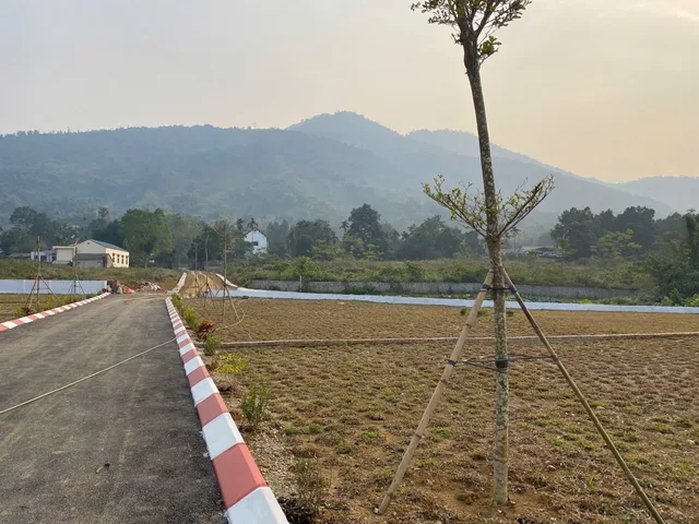 Bất động sản tại Phú Thọ - ảnh 1