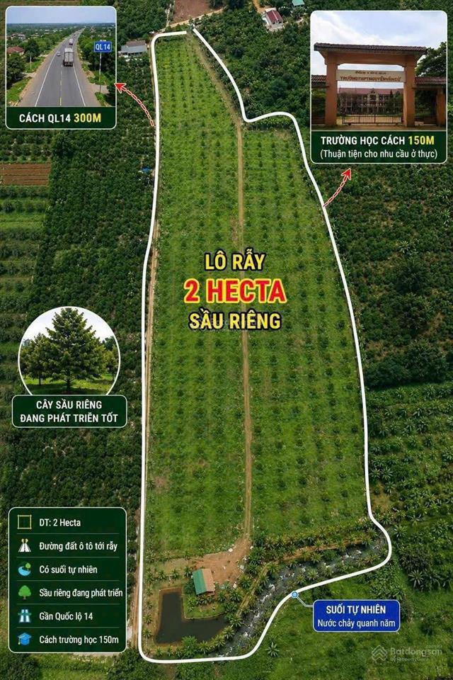 Bất động sản tại Đắk Lắk - ảnh 1