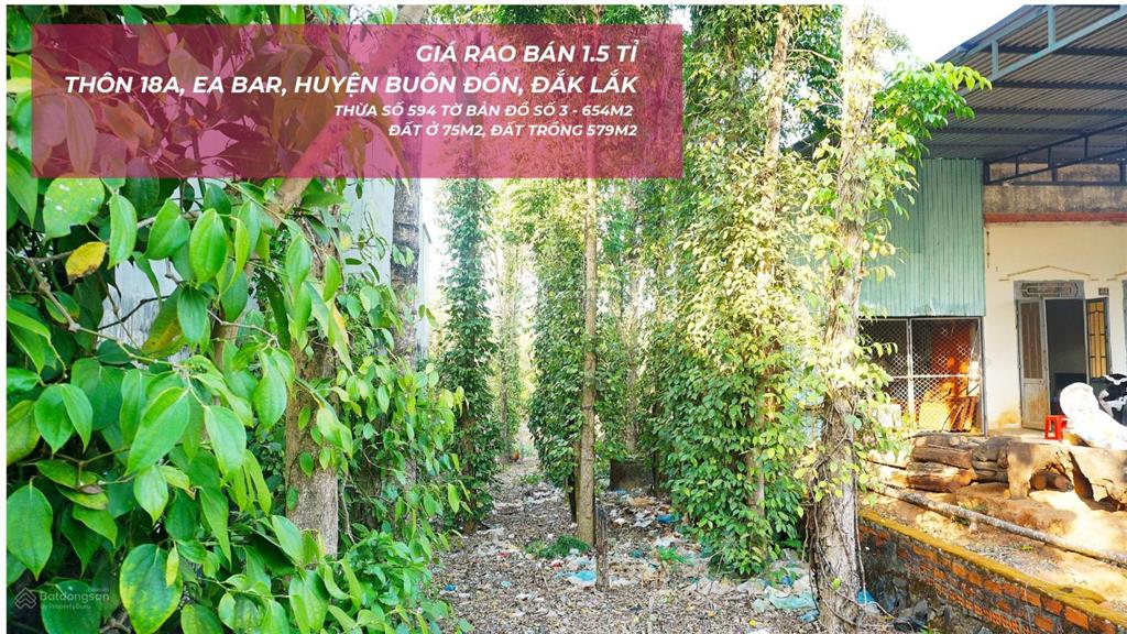 Bất động sản tại Đắk Lắk - ảnh 1