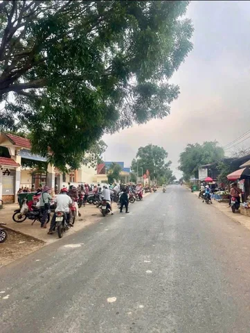 Bất động sản tại Đắk Lắk - ảnh 1