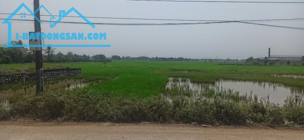 Bất động sản tại Thanh Hóa - ảnh 1