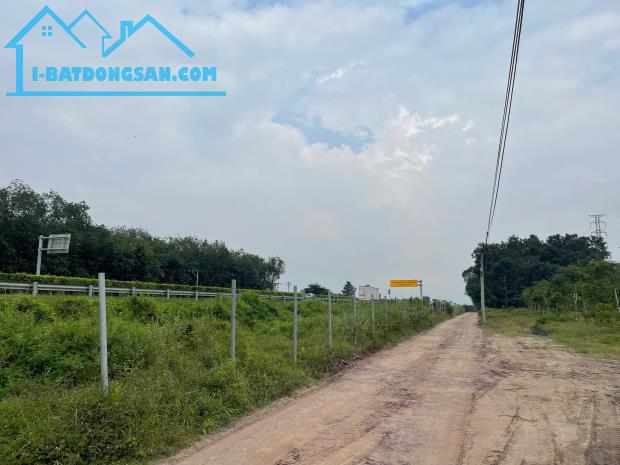Bất động sản tại Long An - ảnh 1