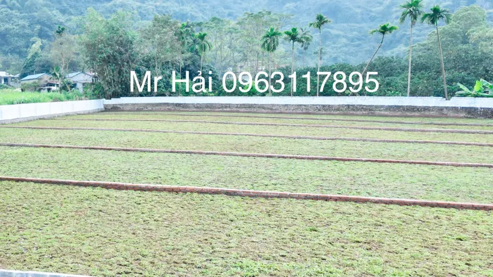 Bất động sản tại Phú Thọ - ảnh 1