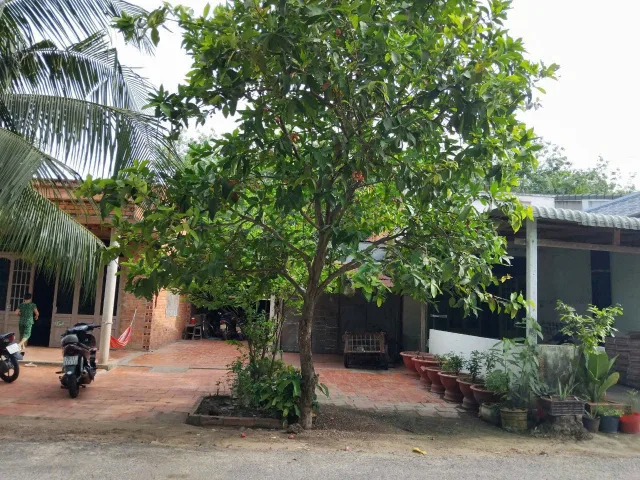 Bất động sản tại Tây Ninh - ảnh 1