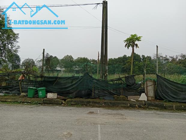 Bất động sản tại Thanh Hóa - ảnh 1