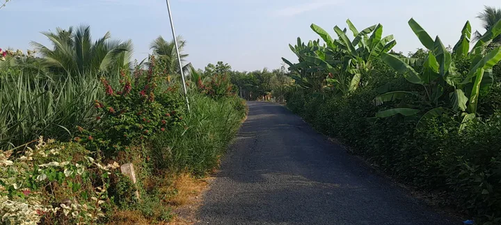 Bất động sản tại Vĩnh Long - ảnh 1