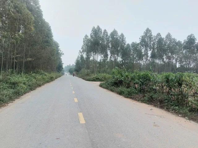 Bất động sản tại Phú Thọ - ảnh 1
