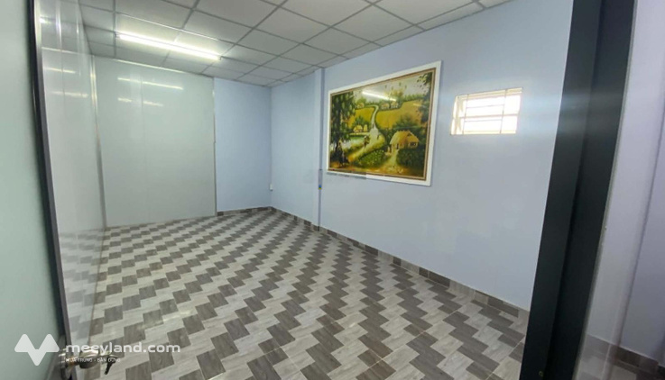 Bất động sản tại TP. Hồ Chí Minh - ảnh 1