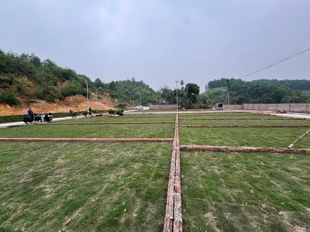 Bất động sản tại Phú Thọ - ảnh 1