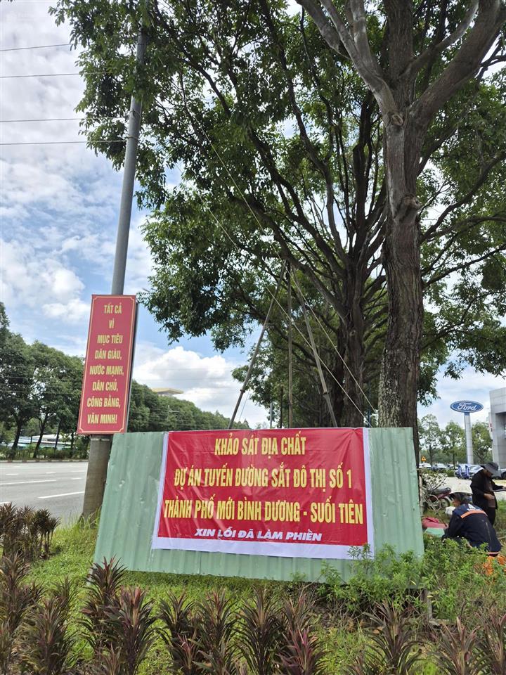 Bất động sản tại Bình Dương - ảnh 1