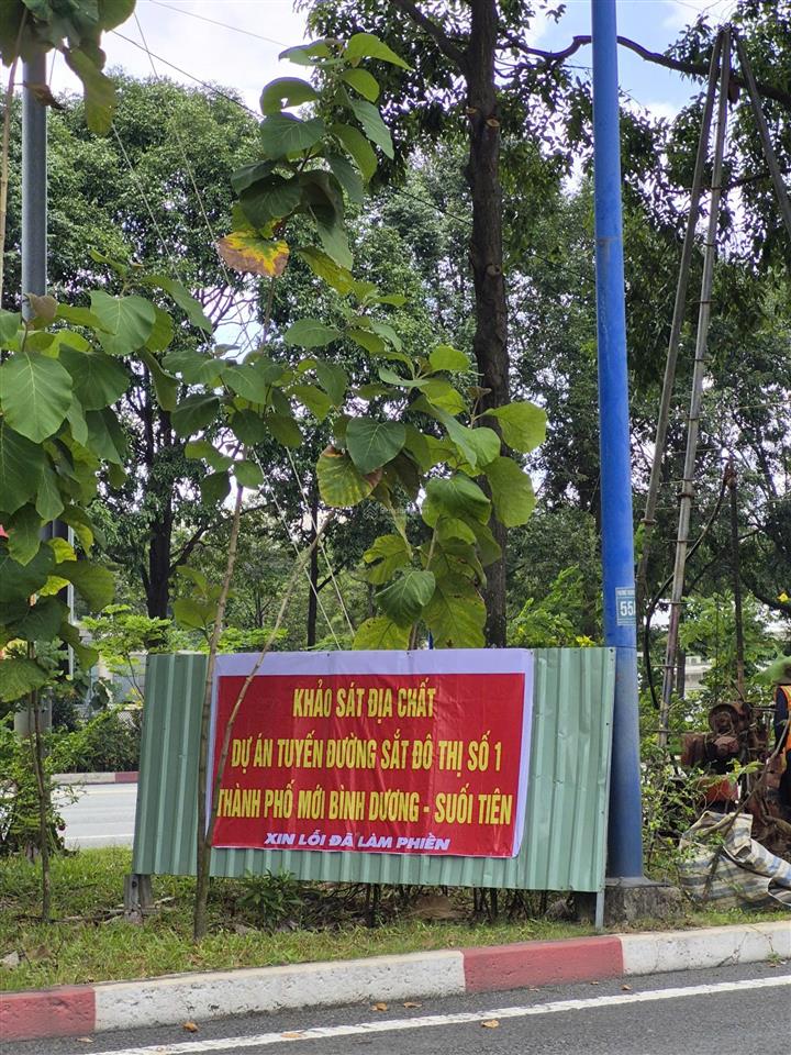 Bất động sản tại Bình Dương - ảnh 1