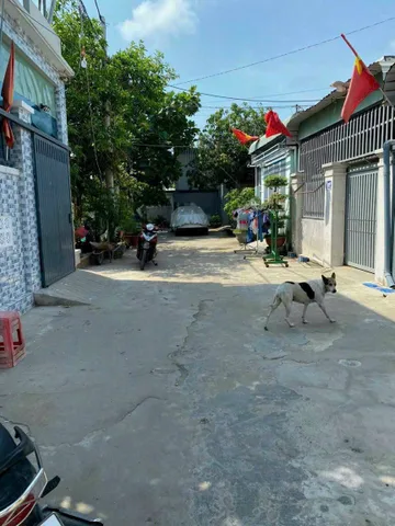Bất động sản tại Bà Rịa - Vũng Tàu - ảnh 1