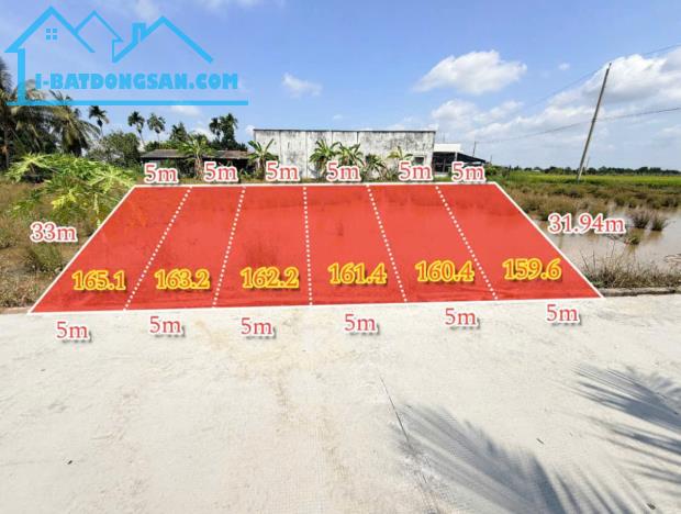 Bất động sản tại Long An - ảnh 1