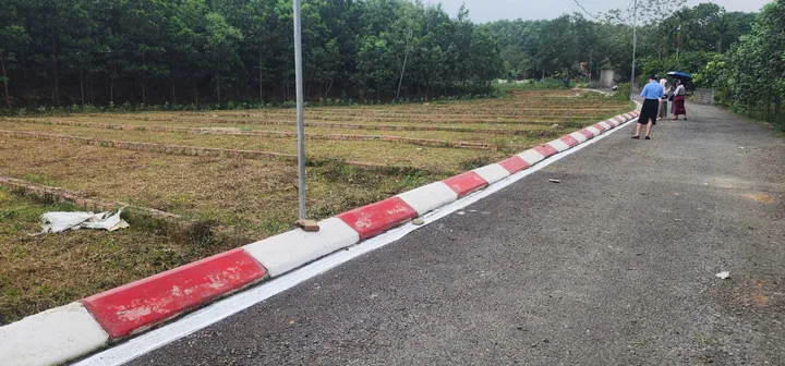 Bất động sản tại Phú Thọ - ảnh 1