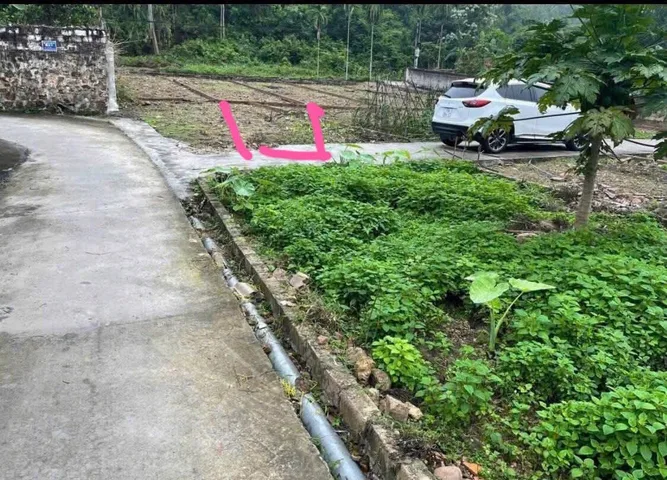 Bất động sản tại Hải Phòng - ảnh 1