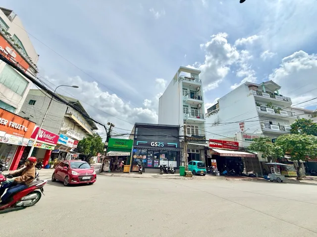 Bất động sản tại TP. Hồ Chí Minh - ảnh 1