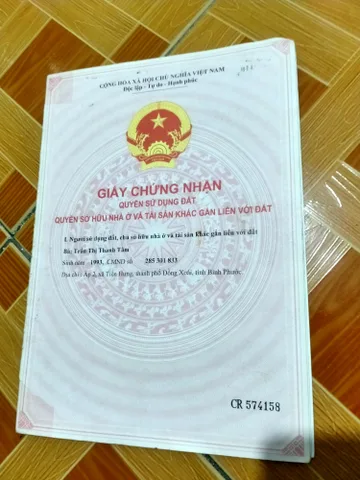 Bất động sản tại Đồng Nai - ảnh 1