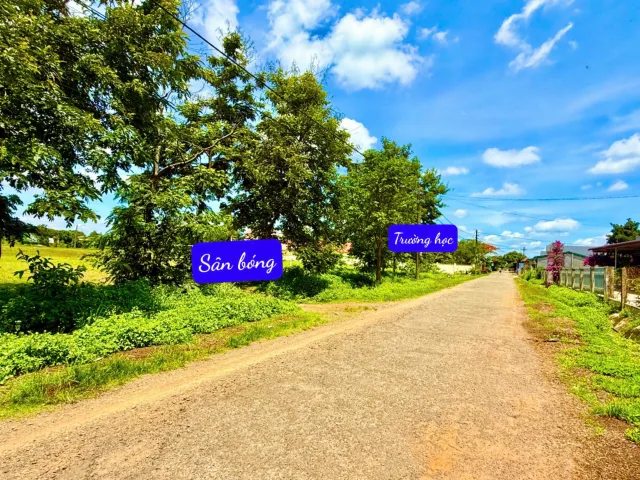 Bất động sản tại Đắk Lắk - ảnh 1