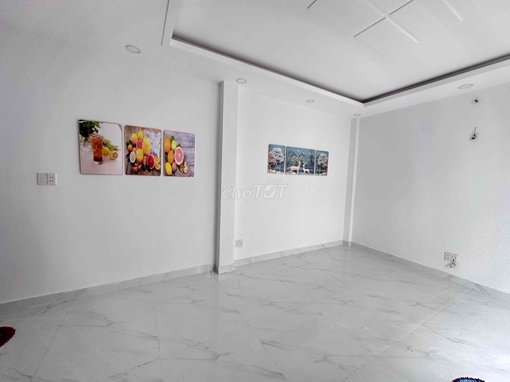 Nhà riêng tại 12, TP. Hồ Chí Minh - ảnh 2