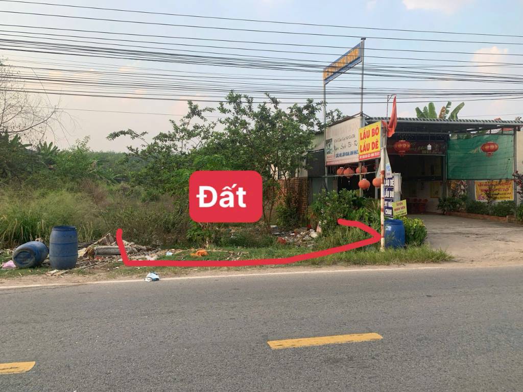 Bất động sản tại Bình Dương - ảnh 1