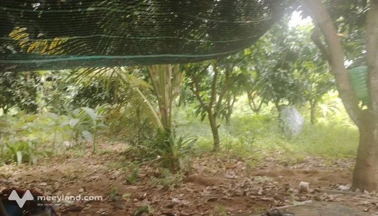 Bất động sản tại Đồng Tháp - ảnh 1